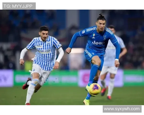 南阳省十大足球明星球队全景解析与实力对比