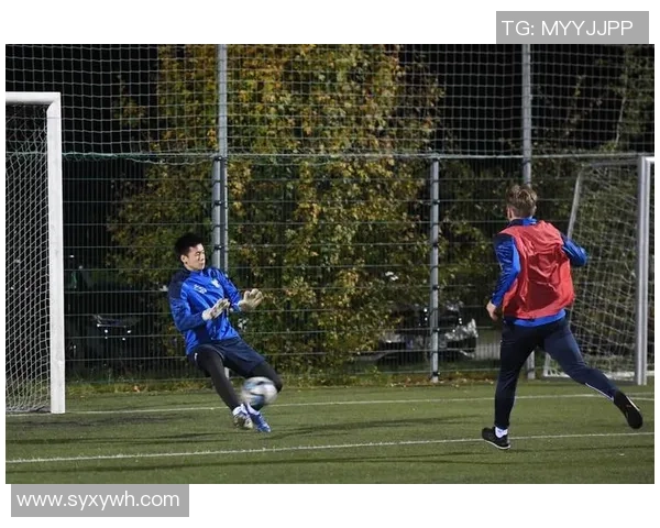 绿茵场上追逐梦想的足球球星奋斗与荣耀故事